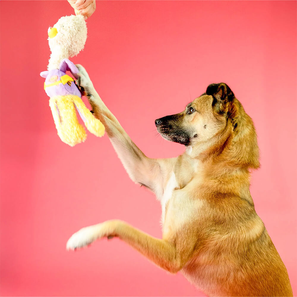 The Furryfolks - OstriKraken (20 cm)