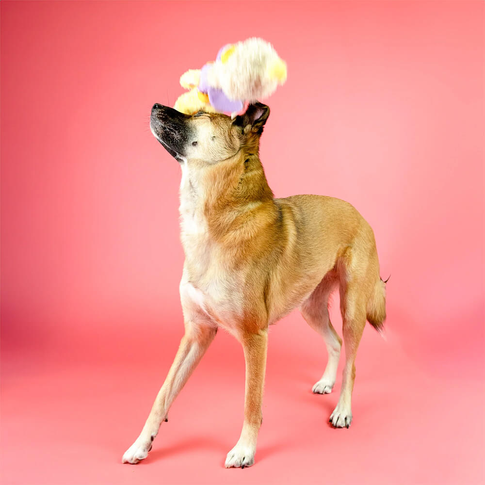 The Furryfolks - OstriKraken (20 cm)