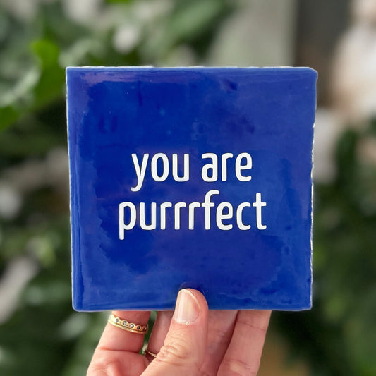 Zitatfliese – You are purrrfect – 10 x 10 cm