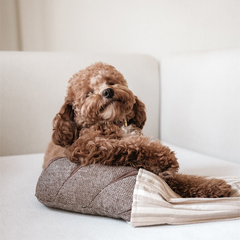 Lambwolf Collective - RYE (20 cm)