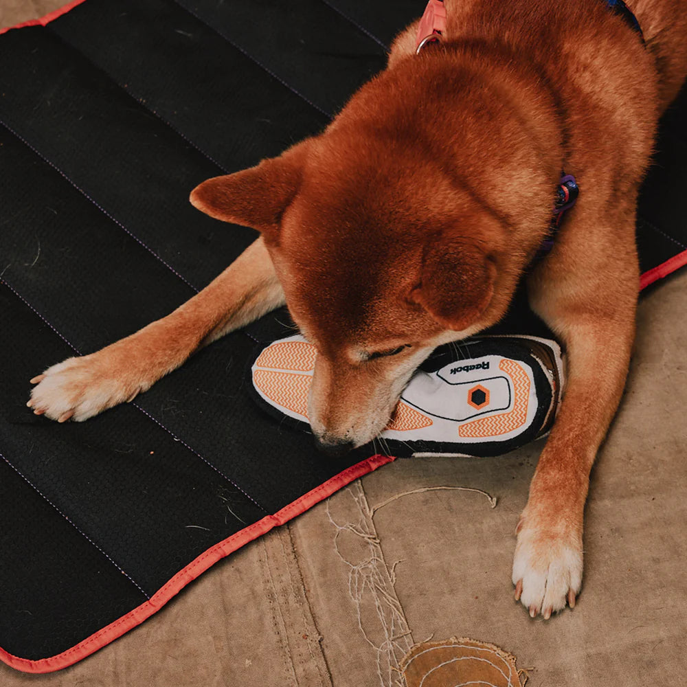 Zee.Dog - Reebok Pump Omni Il Sneaker (23 cm)