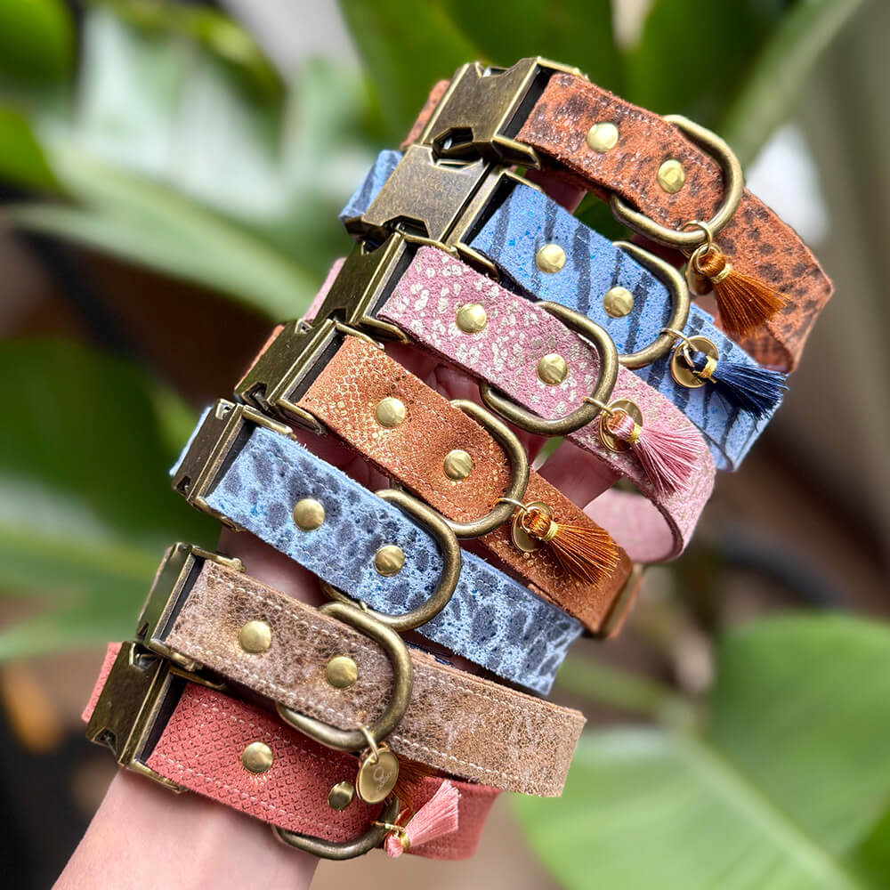 Rockxdogs - Leren halsband Dolce Vita