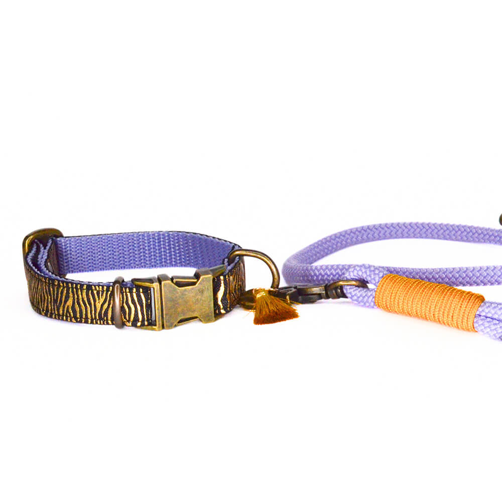 Rockxdogs - Halsband Go Wild! - Boho Tiger Goldy