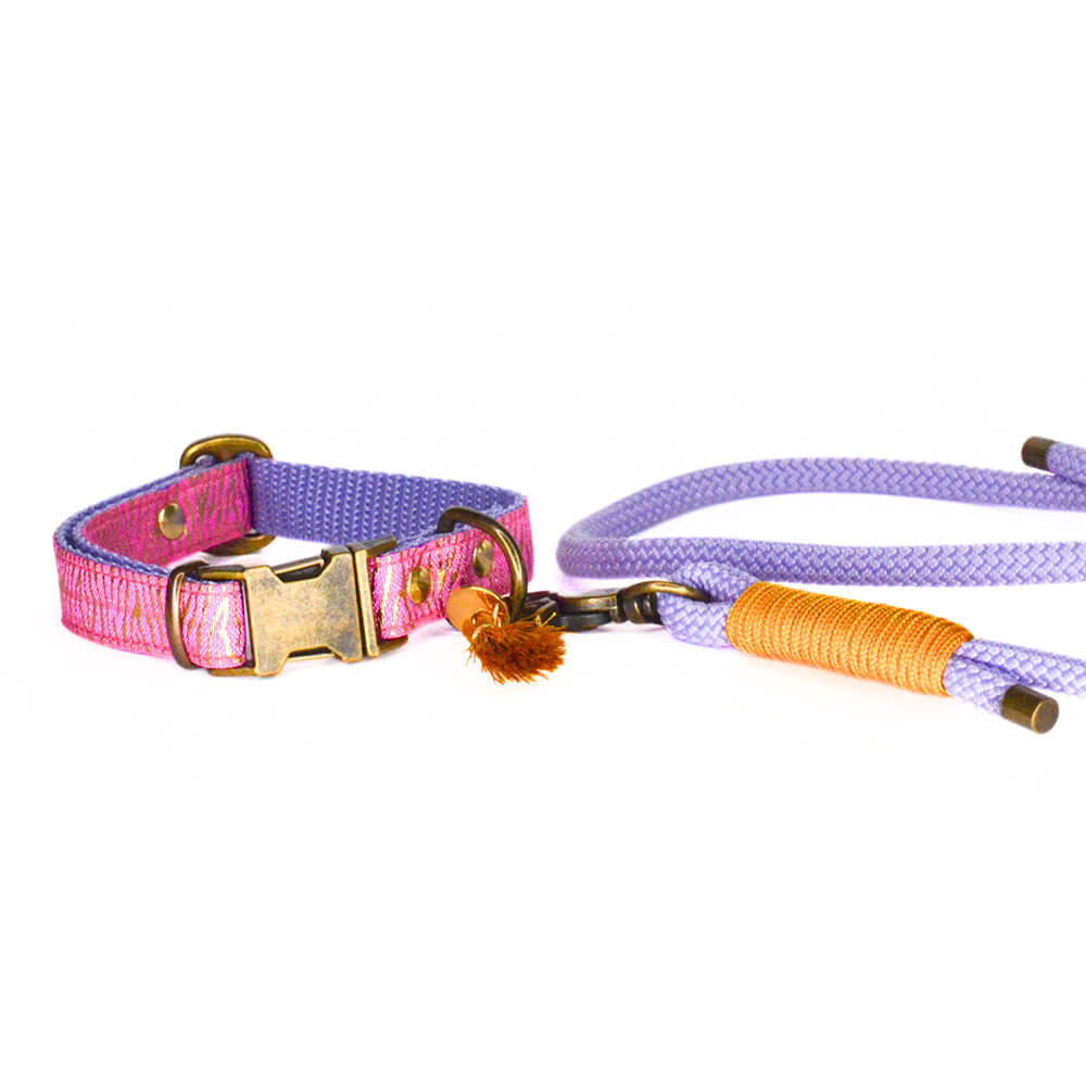 Rockxdogs - Halsband Go Wild! - Boho Tiger Lillie