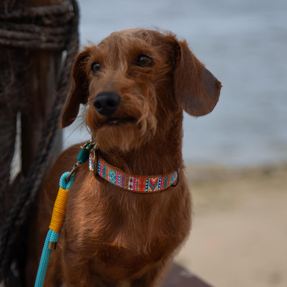 Rockxdogs - (Handsfree) Looplijn Turquoise