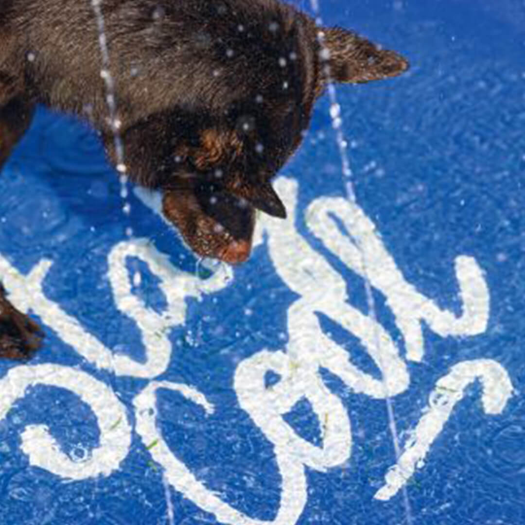 Beeztees - Sprinkler Mat Stay Cool