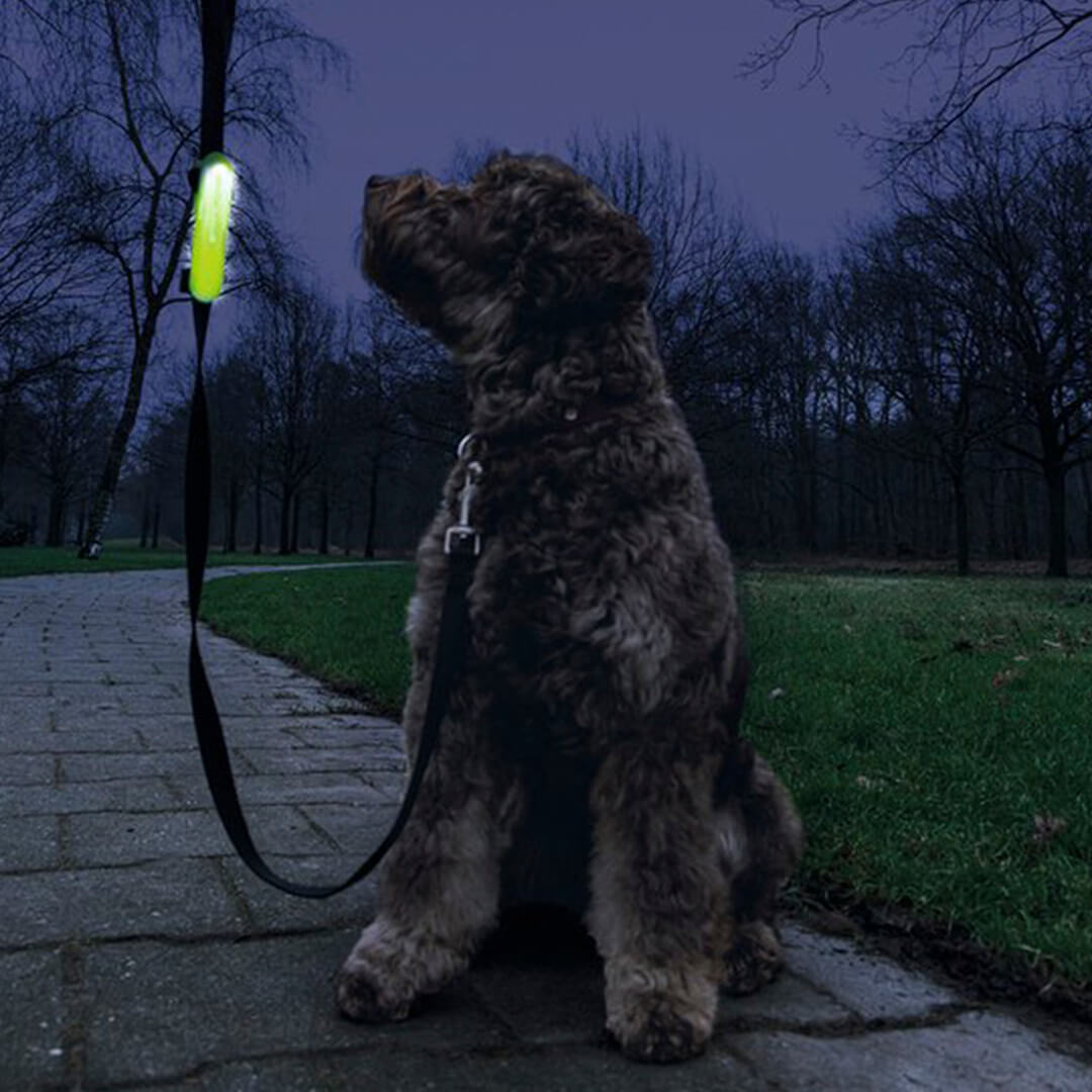 Beeztees - Safety Gear Veiligheidslichtstrip