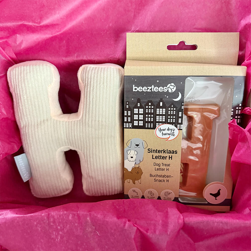 Sint Box, verras jouw hond!