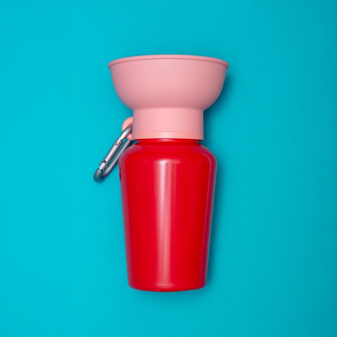 Springland - Flip Dog Travel Bottle - Strawberry/Guava (590 ml)