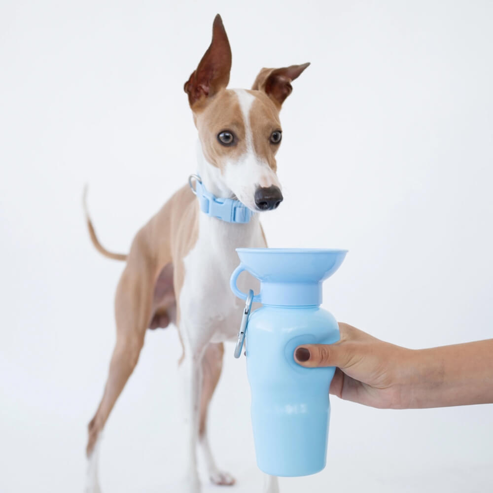 Springer - Classic Dog Travel Bottle - Sky Blue (650 ml)