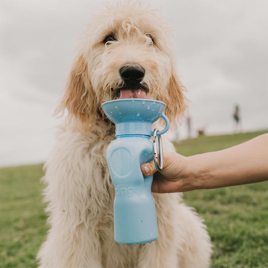 Springer - Classic Dog Travel Bottle - Sky Blue (650 ml)