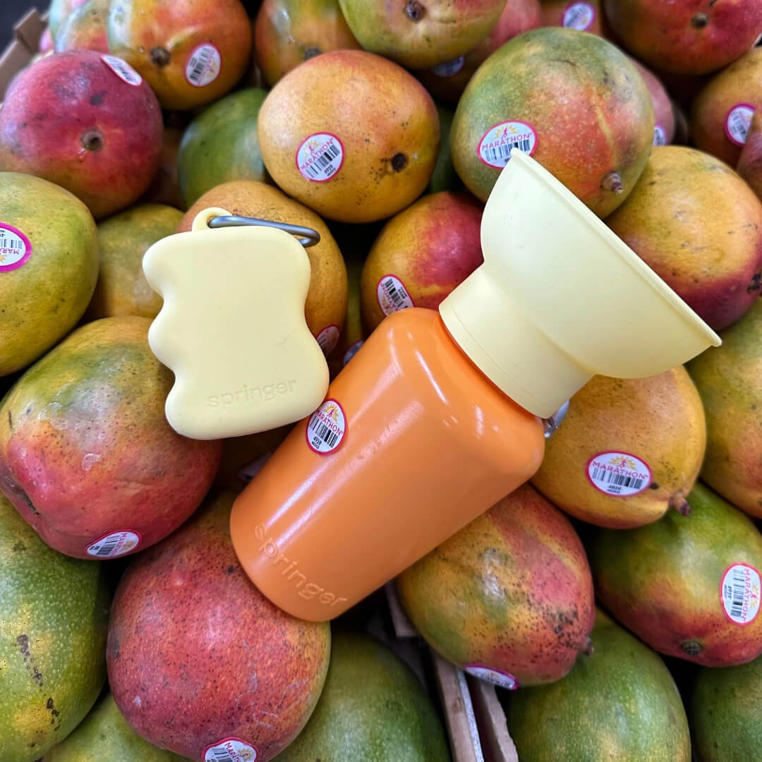 Springland - Flip Dog Travel Bottle - Mango/Lemon (590 ml)