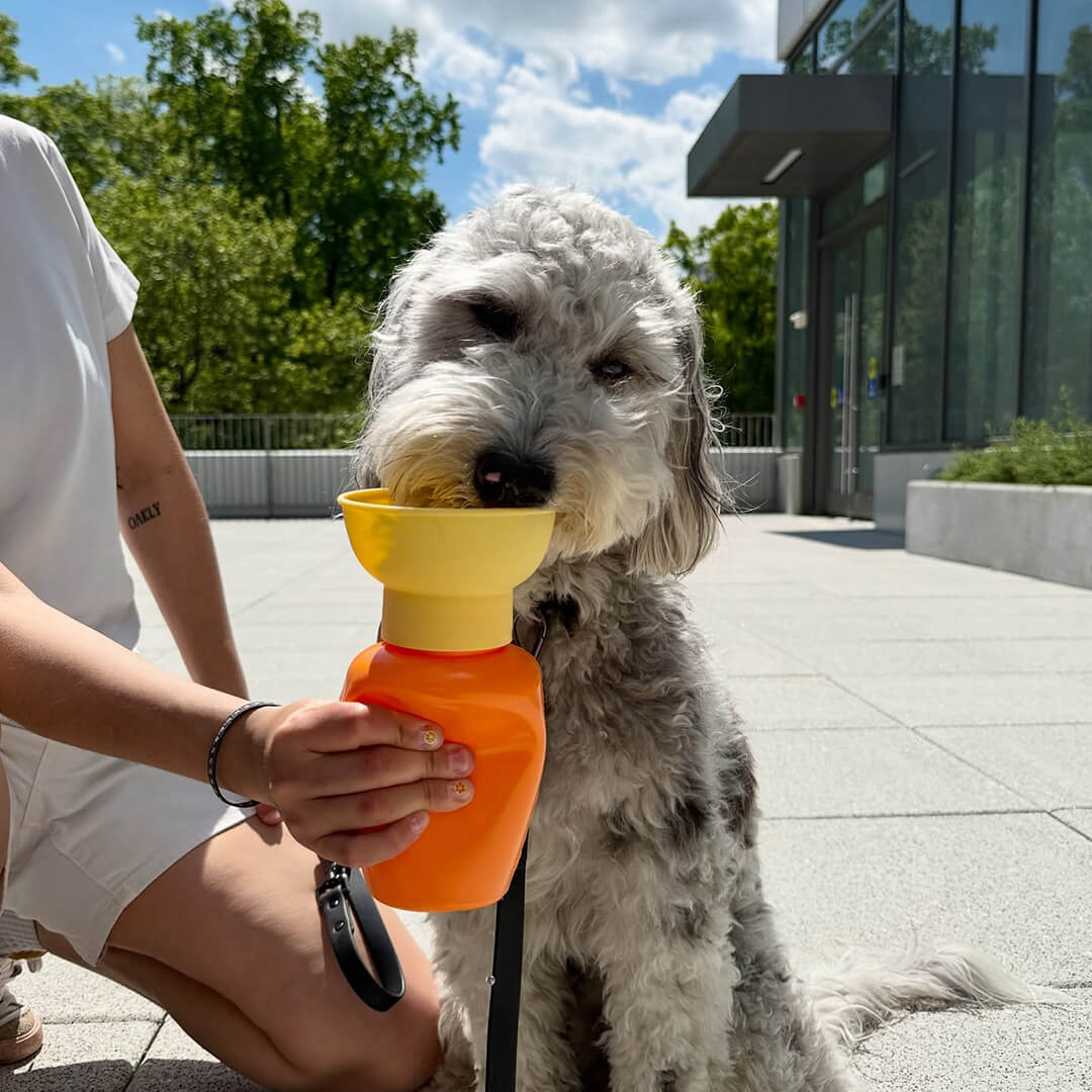 Springland - Flip Dog Travel Bottle - Mango/Lemon (590 ml)