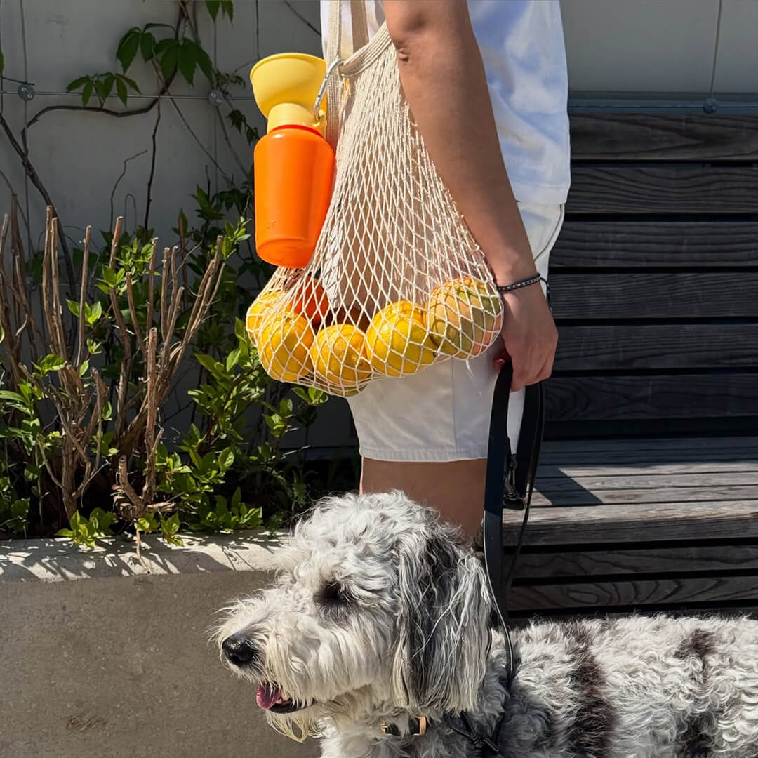 Springland - Flip Dog Travel Bottle - Mango/Lemon (590 ml)