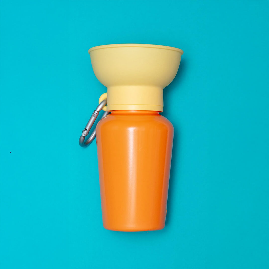 Springland - Flip Dog Travel Bottle - Mango/Lemon (590 ml)