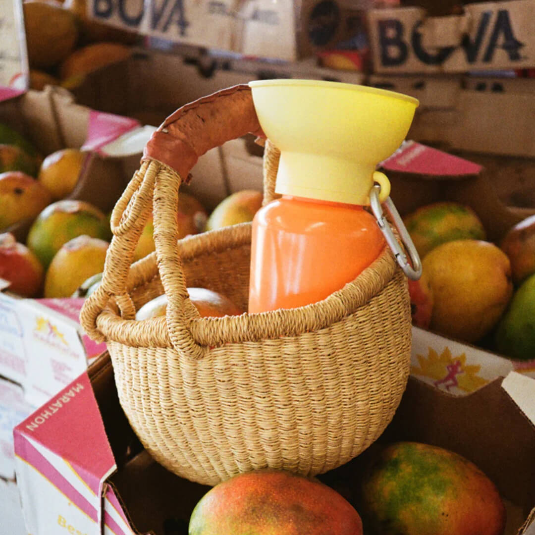 Springland - Flip Dog Travel Bottle - Mango/Lemon (590 ml)