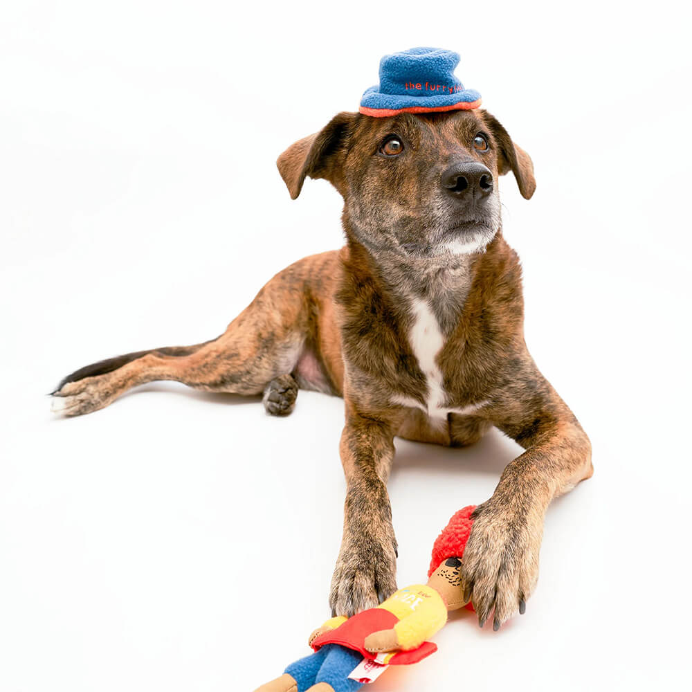 The Furryfolks - Hooman Surfer (29 cm)