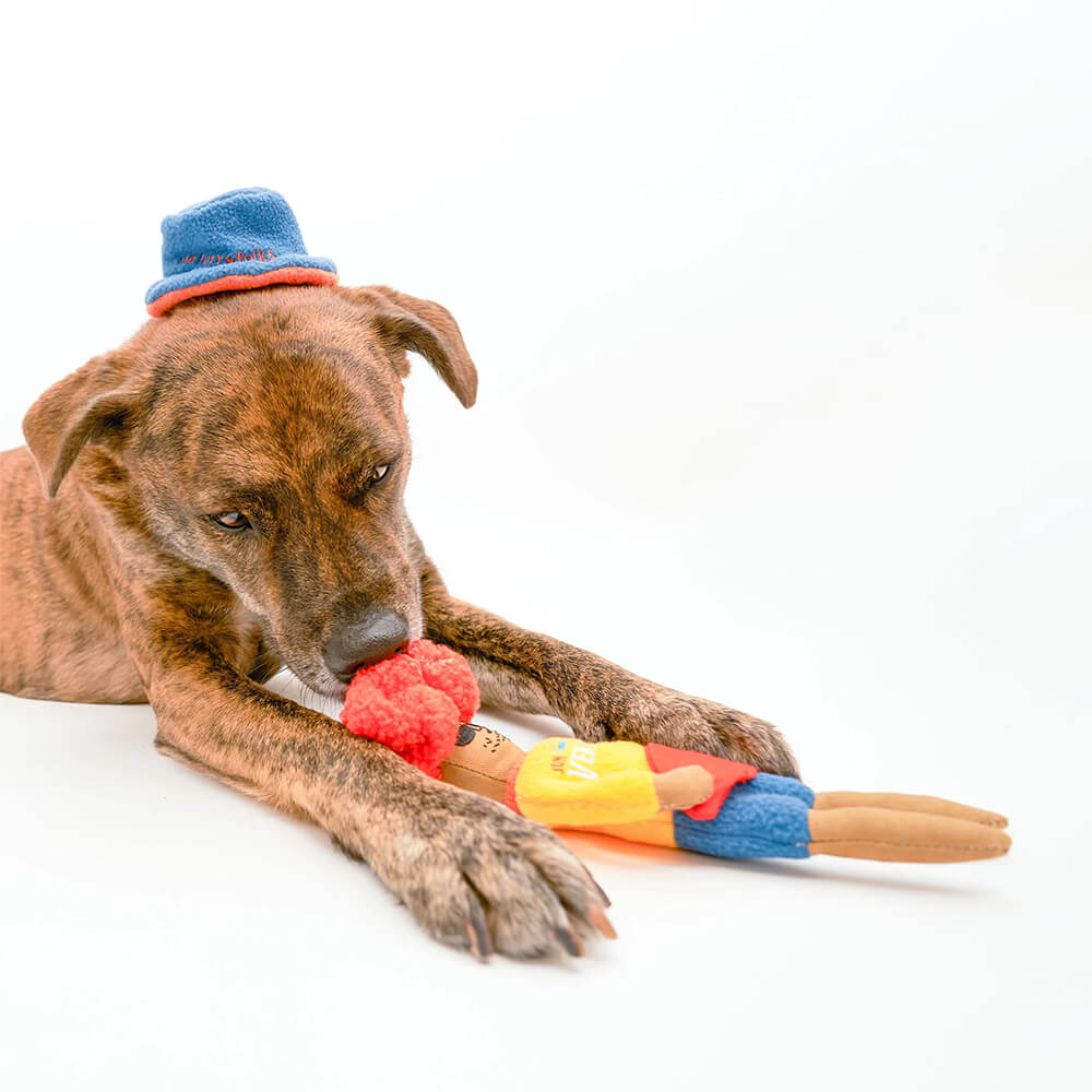 The Furryfolks - Hooman Surfer (29 cm)