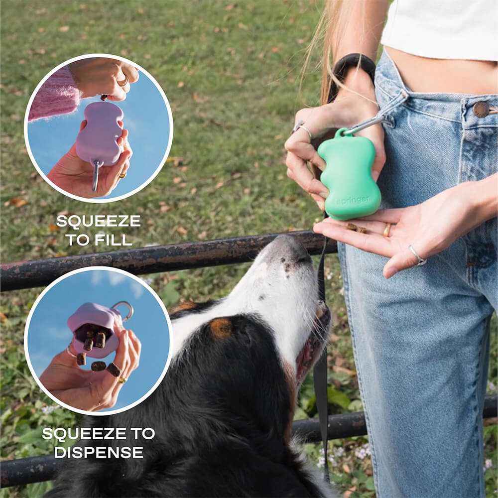 Springer - The Silicone Dog Treat Dispenser - Sky Blue