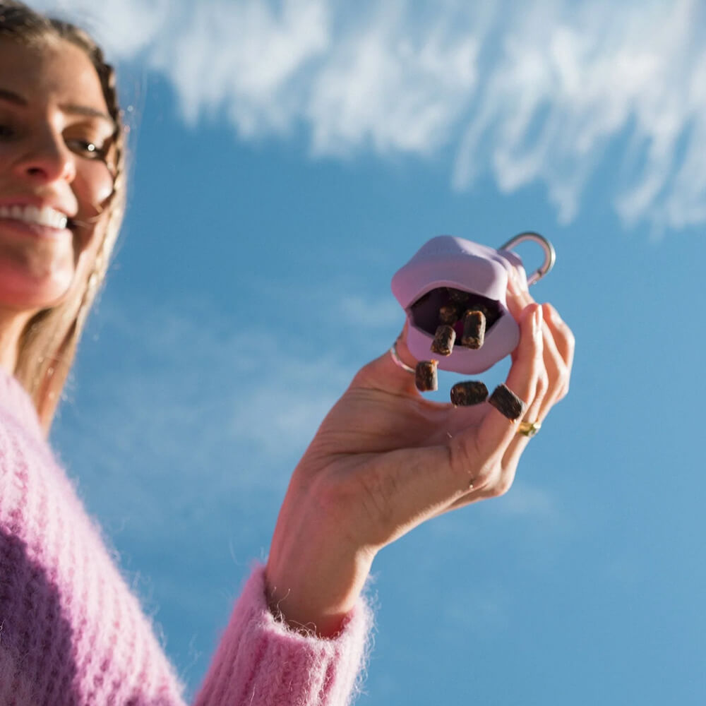 Springer - The Silicone Dog Treat Dispenser - Lilac