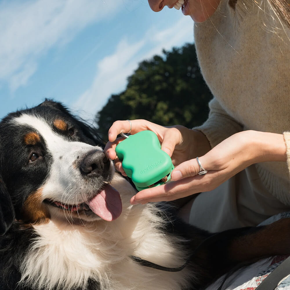 Springer - The Silicone Dog Treat Dispenser - Green