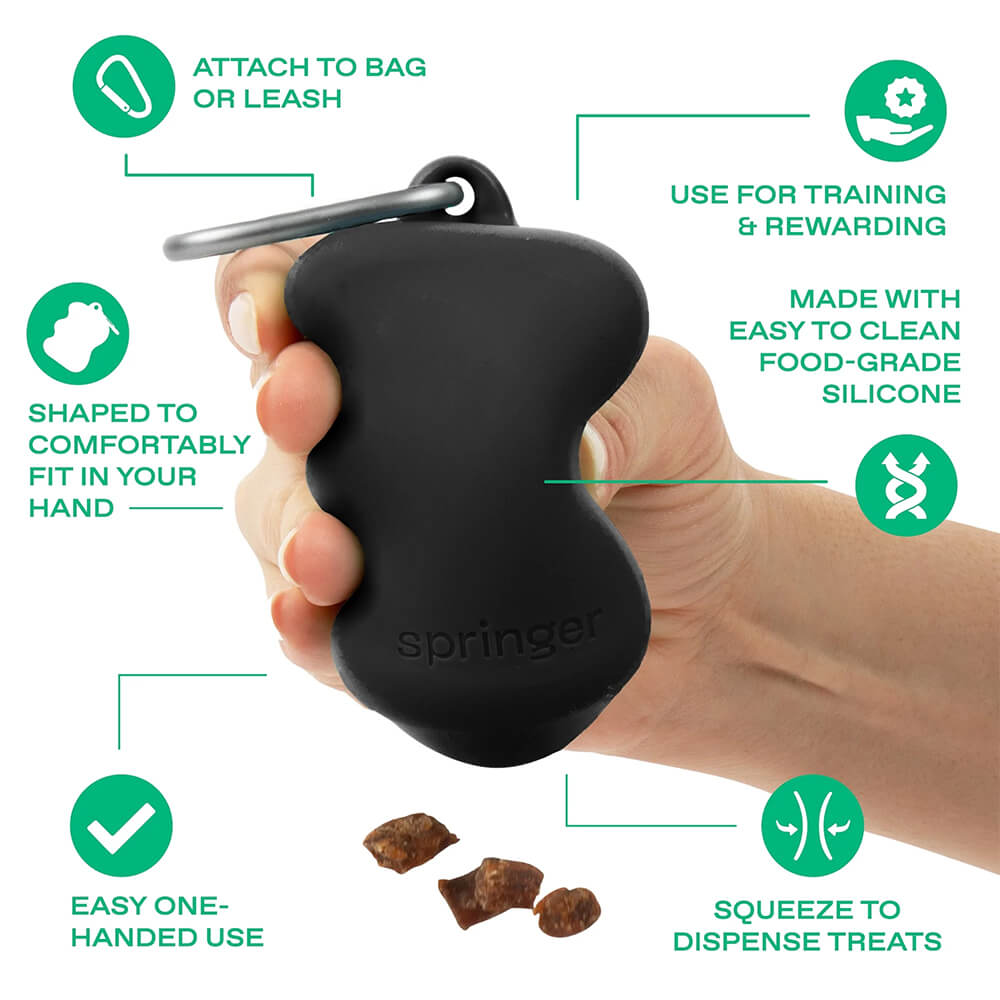 Springland - The Silicone Dog Treat Dispenser - Guava