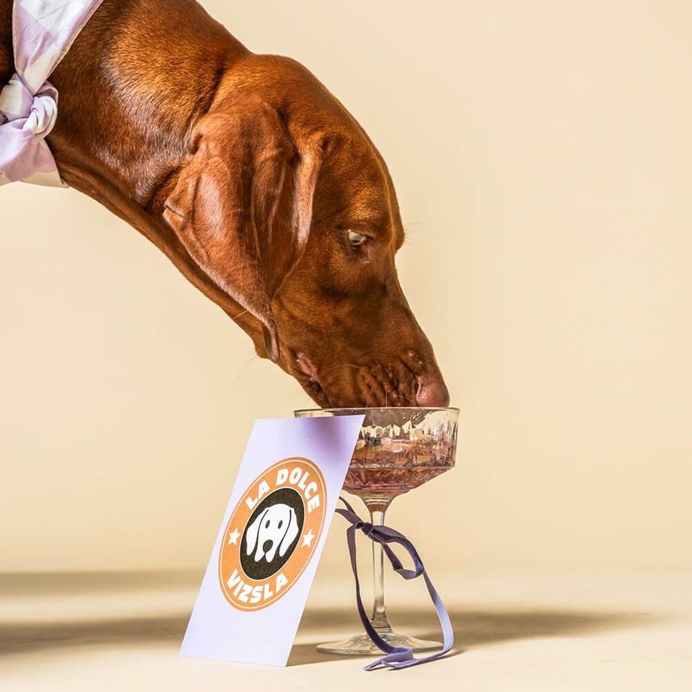 Heyday - Wenskaart - La dolce vizsla