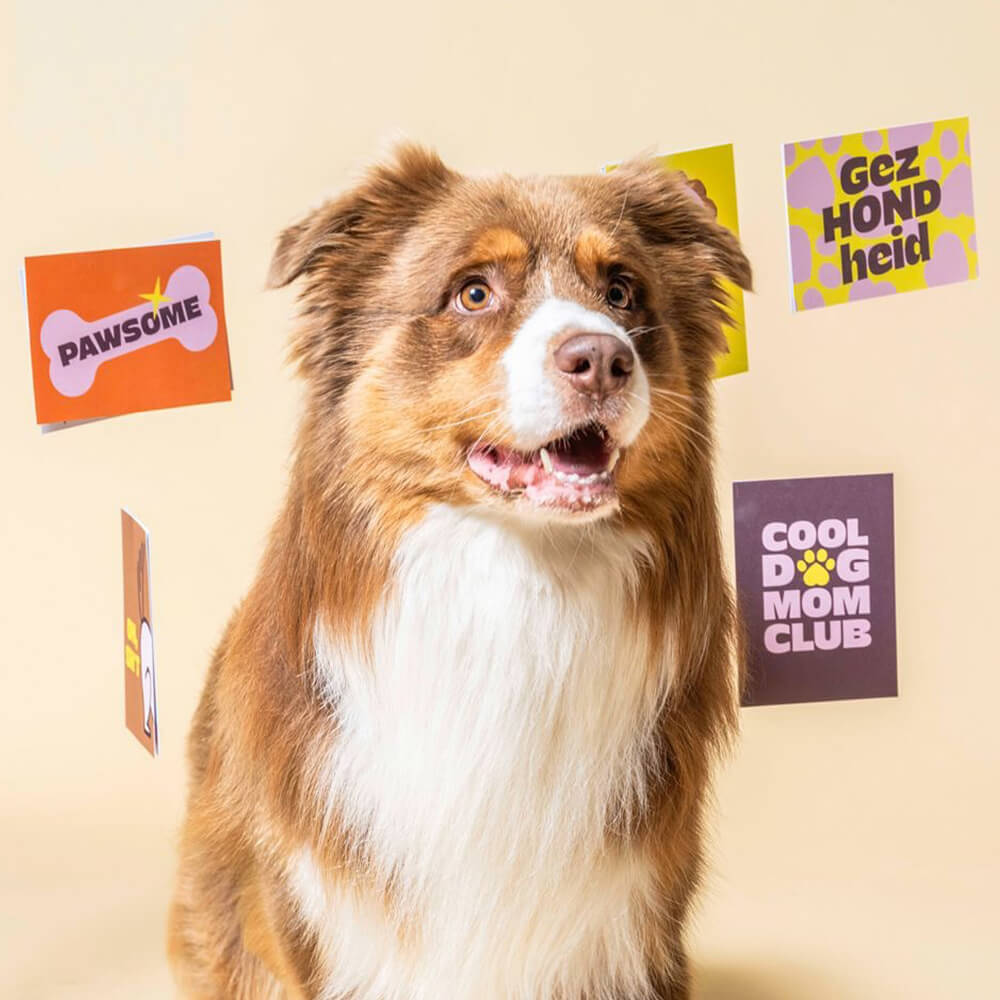 Heyday - Wenskaart - Pawsome