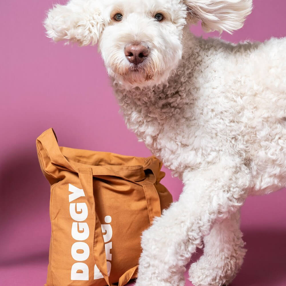 Heyday - Doggy Bag Ginger