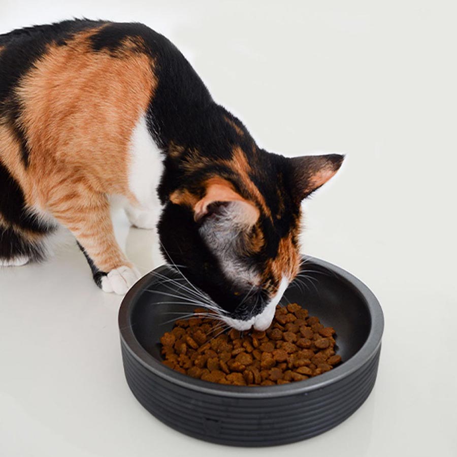 Zee.Cat - Katten voer- en drinkbakje Black