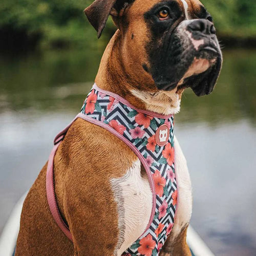 Adjustable Air Mesh harness Mahalo