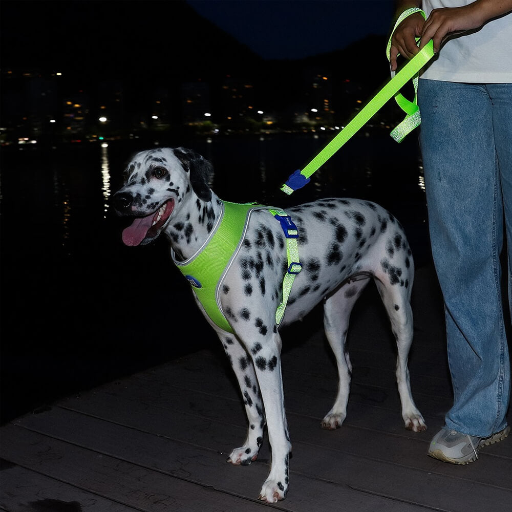 Zee.Dog - Adjustable Air Mesh harnas Nox Lumen