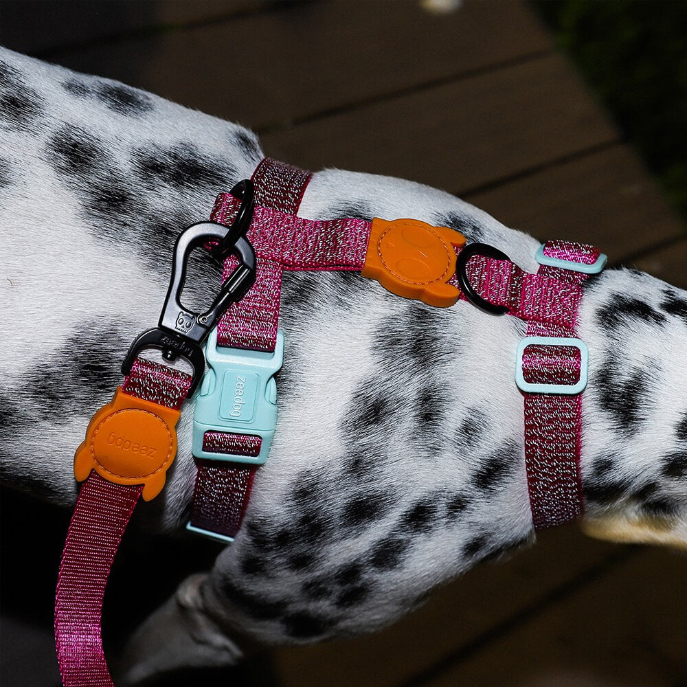 Zee.Dog - H-harnas Nox Sidus