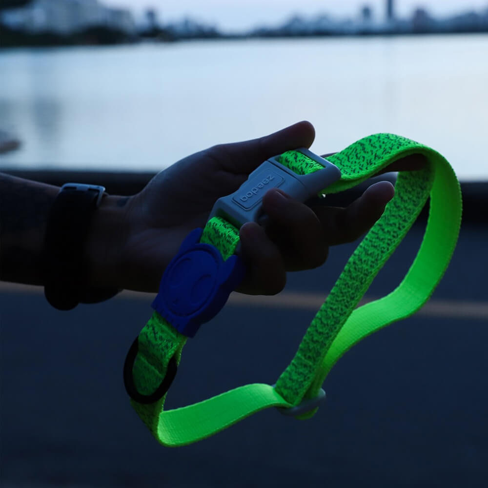 Zee.Dog - Halsband Nox Lumen