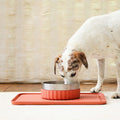 Zee.Dog - Tuff Drink- & Eetbak Mayo Star Clay