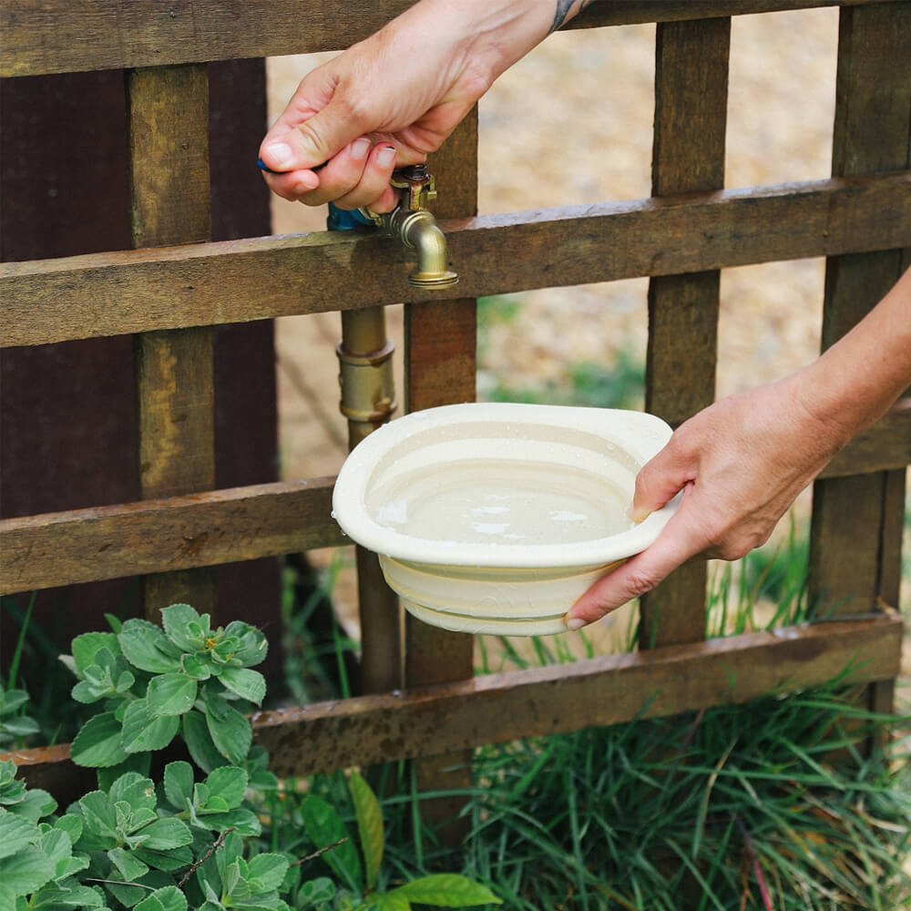 Zee.Dog - Go Bowl Biscotti