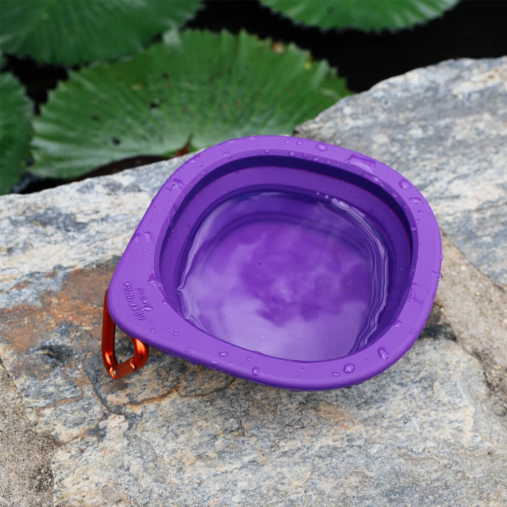 Zee.Dog - Go Bowl Peak