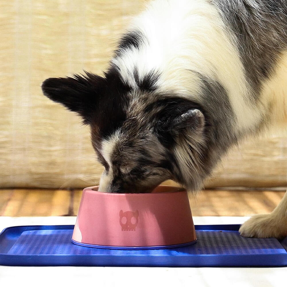 Zee.Dog - Classic Bowl Terranova