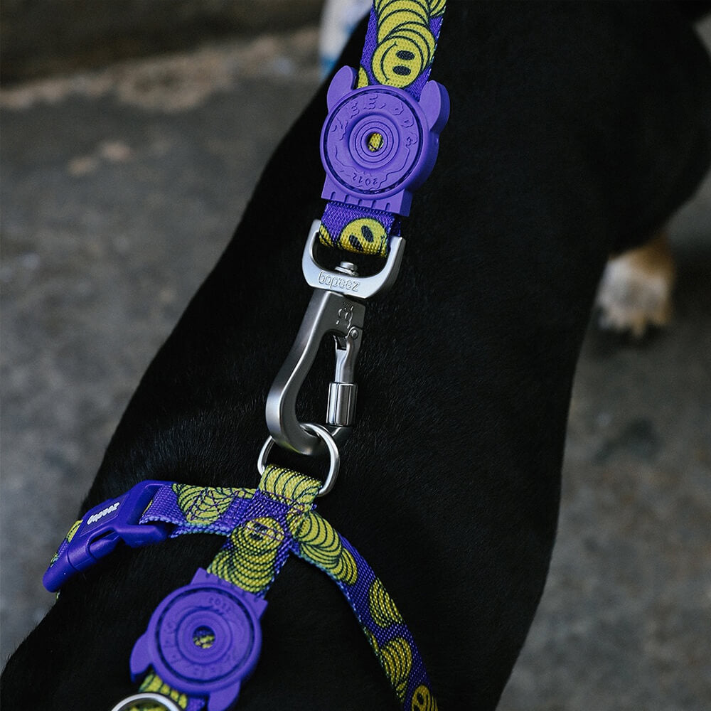 Zee.Dog - H-harnas Zmiley