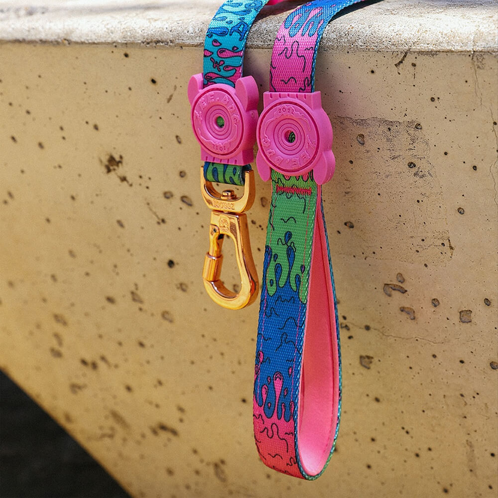 Zee.Dog - Riem Melted