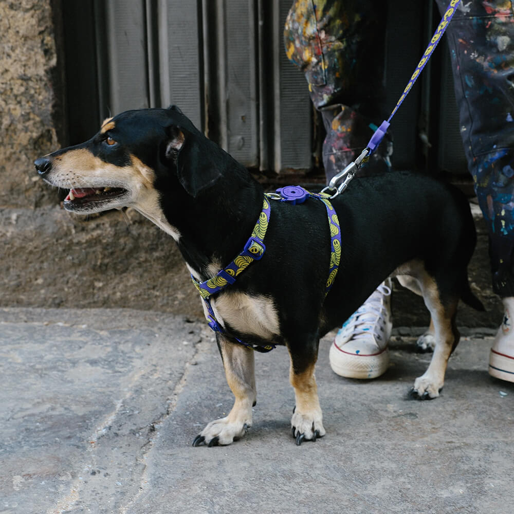 Zee.Dog - Riem Zmiley