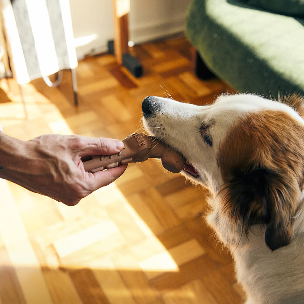 Zee.Dog - Alien Flex Hammer (18,5 cm)