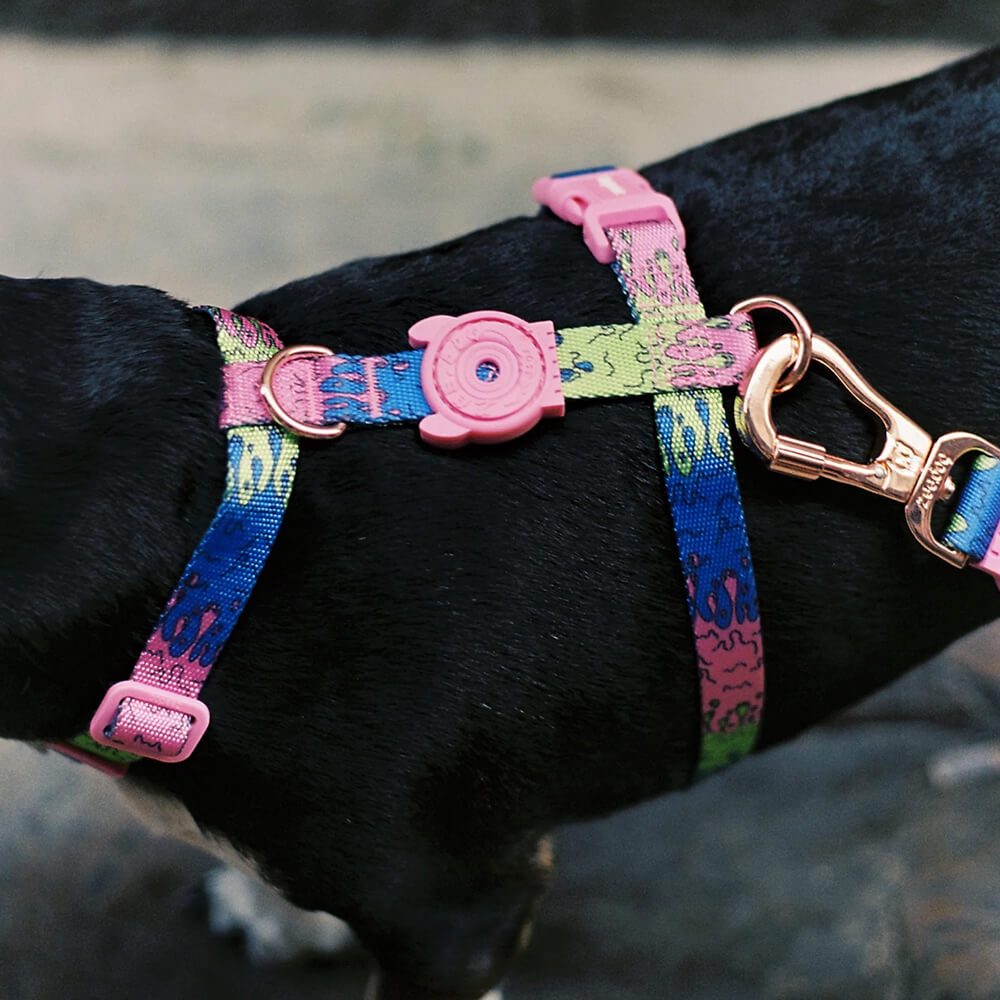 Zee.Dog - H-harnas Melted