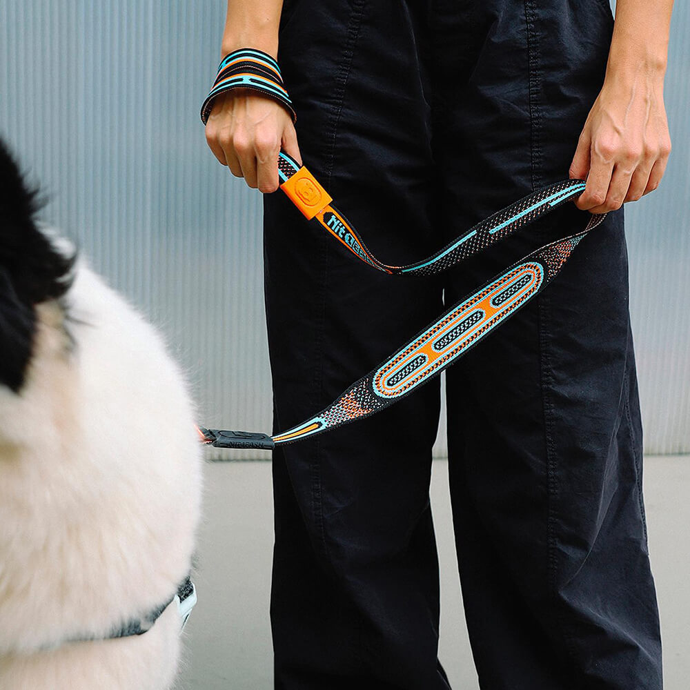 Zee.Dog - NitLeash Chron