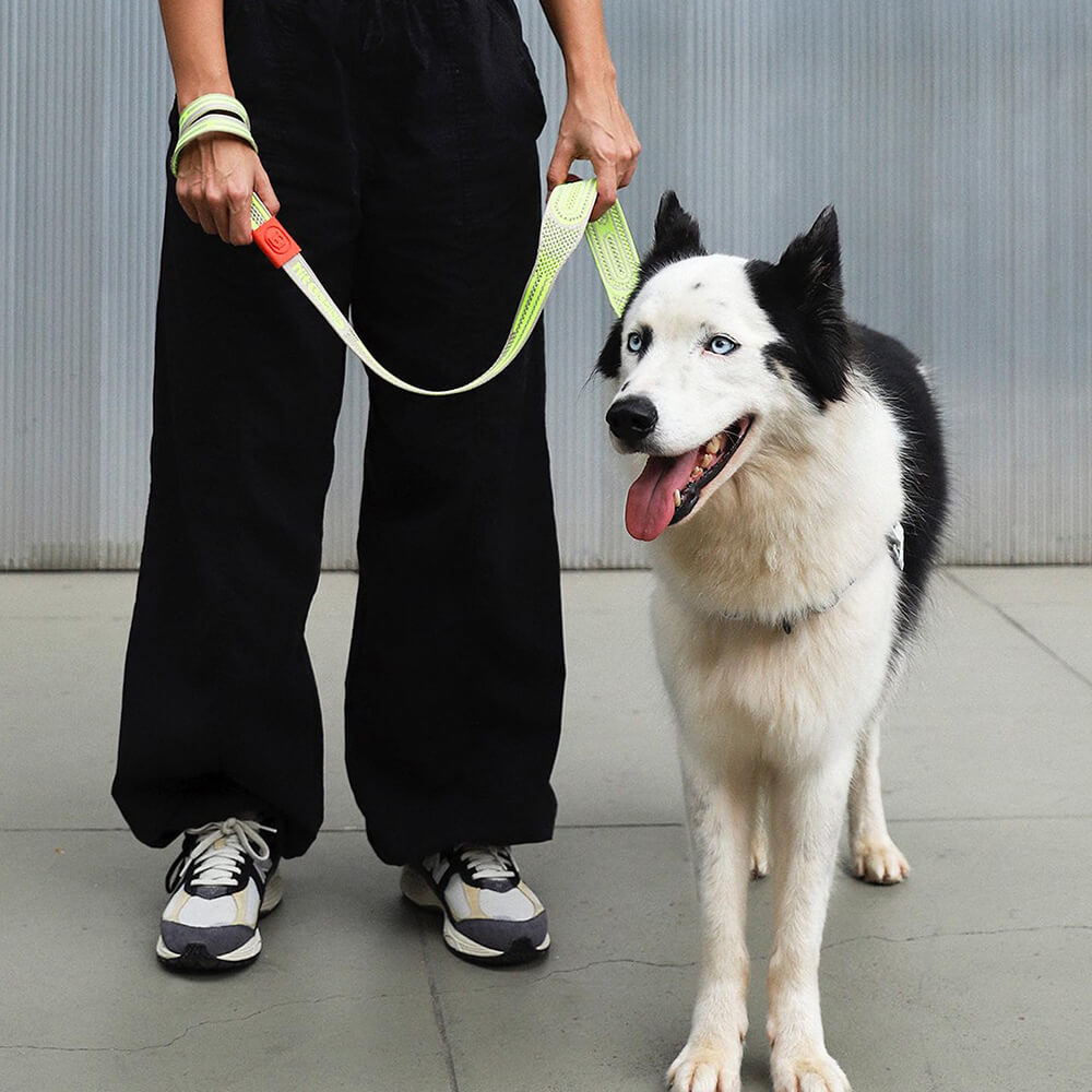 Zee.Dog - NitLeash Gluten