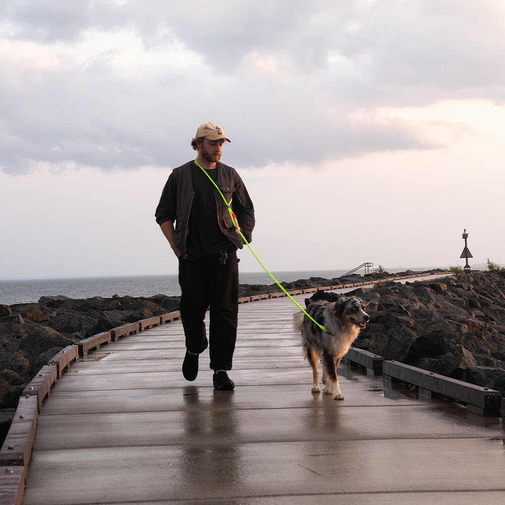 Zee.Dog - Handsfree Riem Glo