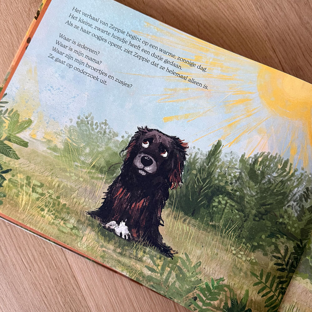 Boek - Zeppie, het straathondje