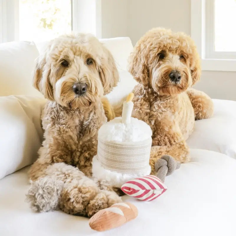 Lambwolf Collective - Birthday Cake