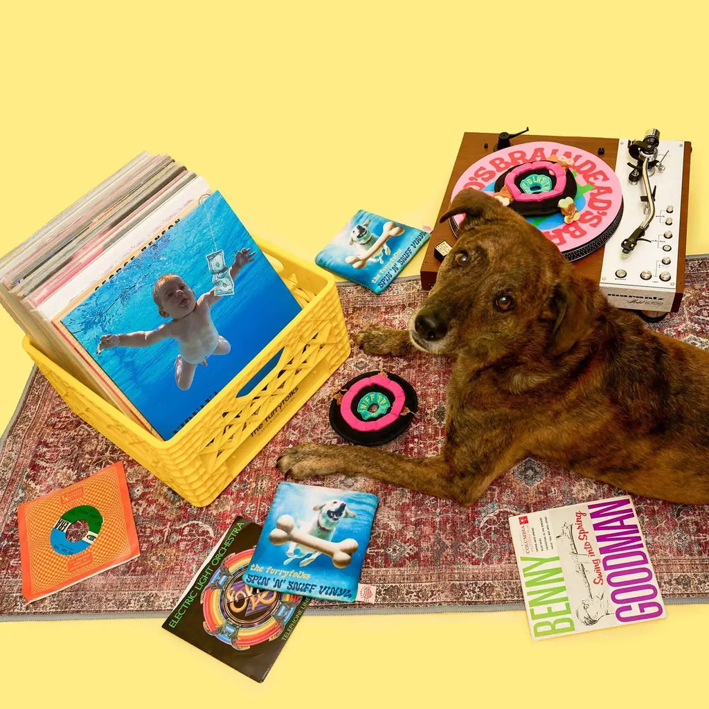 The Furryfolks - Vinyl (18 cm)