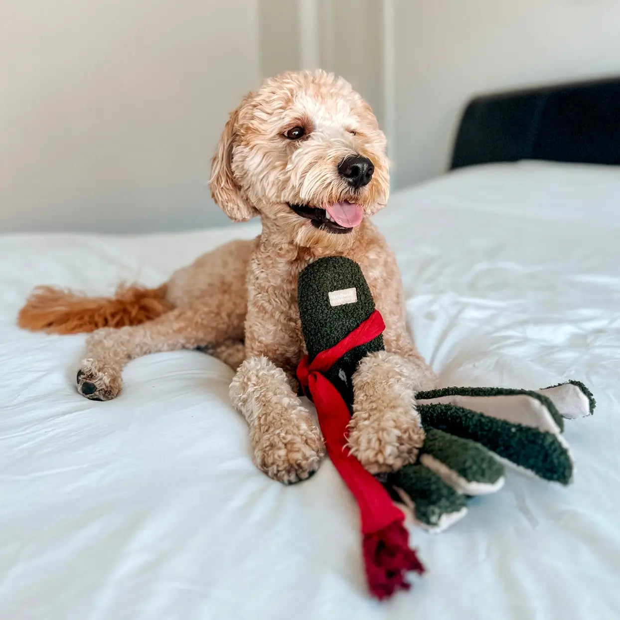 Lambwolf Collective - Tako (35 cm)